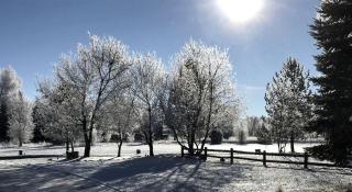 Rustic Yurt Getaway on Beautiful Snake River in Rigby, Idaho - 5
