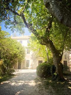 Domaine Daulone plein sud - Vaison-la-Romaine - 9