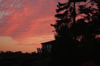 Lakeview Cabin in Georgian Bay - Rockwood #11 - Dillon - 8