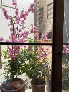 Venice Palace Luxury Suites - Venice - 3