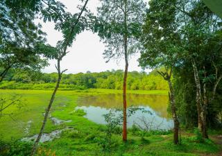 Tusker Inn Forest Lodge - Pulpally - 5