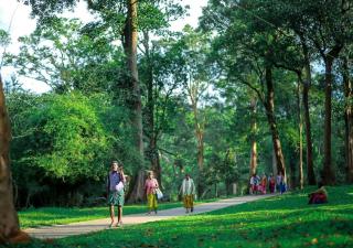 Tusker Inn Forest Lodge - Pulpally - 9