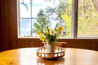 Lakeview Cabin in Georgian Bay - Rockwood #3 - Dillon - 0