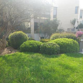 Small budget studio center - Thessaloniki - 9