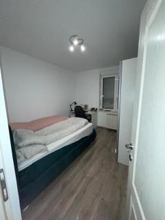 246 Aprtman Novi Sad - Novi Sad - 2