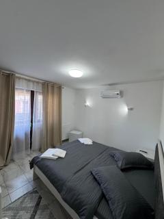 Casa Rustica Cernica - Cernica - 6