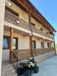 Casa Rustica Cernica - Cernica - 4