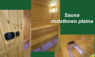 Dwór pod Sosnami Kaszuby, sauna - Ostrzyce - 4