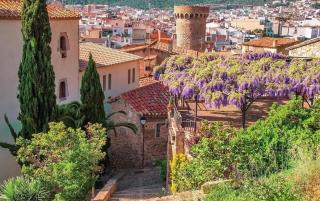 Tossa Centre - Tossa de Mar - 9