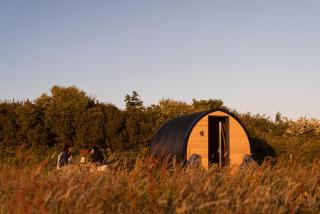 Cosy Cabin with sea view - Broad Haven - 2