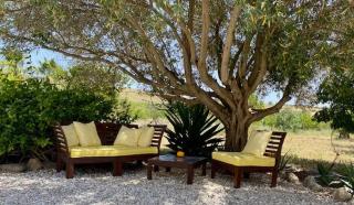 Finca El Limonar - 9