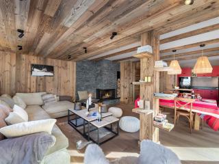 Appartement neuf et spacieux, idéal pour familles, proche des pistes et calme montagnard - FR-1-570-14 - Levassaix - 1