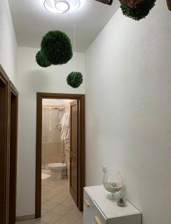 Orchidea - Olbia - 1