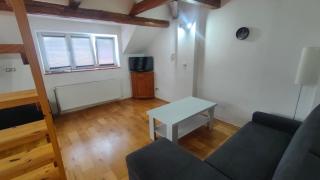 Symbiola River Apartments - Děčín - 6