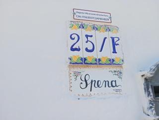 Elegante Villa al centro di Ischia Porto - Ischia - 8