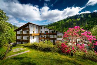 Holzschuhs Schwarzwaldhotel - Baiersbronn - 7