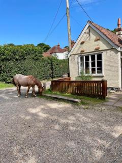 The Pigs' Pantry, Burley - Burley - 3