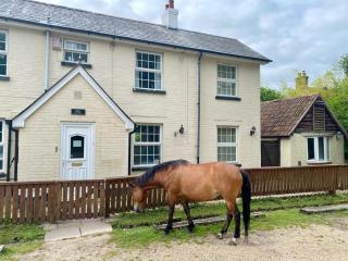 The Pigs' Pantry, Burley - Burley - 0
