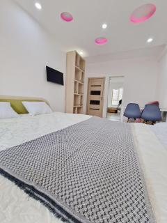 Testimitanu Double Room - Chişinău - 1