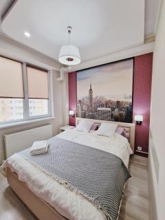Testimitanu Double Room - Chişinău - 3