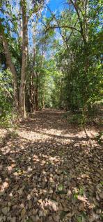 Domaine de la Tour - 8