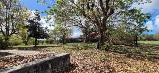 Domaine de la Tour - 1