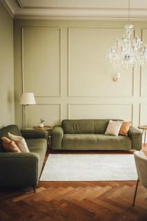 Classic Suite I Zentrum I Tiefgaragenstellplatz I Balkon - 2