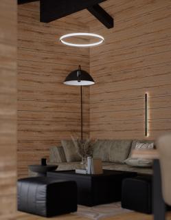 Penthouse Suite in Hinterzarten - Hinterzarten - 8