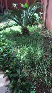 Luxurious quiet apartment in Calavi - Abomey-Calavi - 1