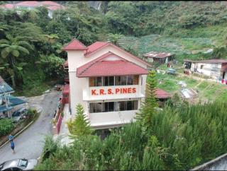 KRS Pines GuestHouse - Cameron Highlands - 0