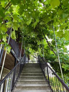 Harmony Guest House - Ijevan - 8