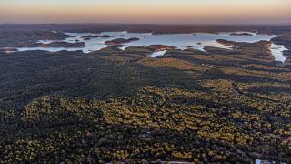 The Ash - Private Cabin with Hot Tub Oasis for Two in the Pines - Broken Bow - 2