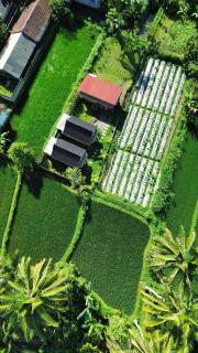 PANORAMA BUNGALOWs - Tetebatu - 9