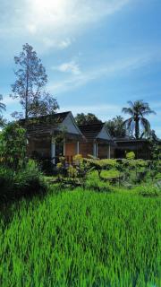 PANORAMA BUNGALOWs - Tetebatu - 0
