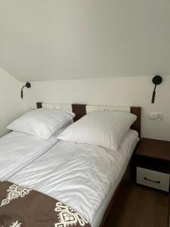 Apartament CEKO 2 - Ostrowsko - 1