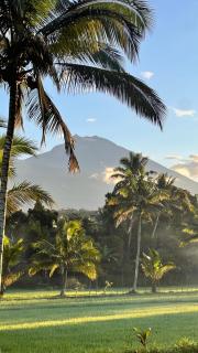 PANORAMA BUNGALOWs - Tetebatu - 7