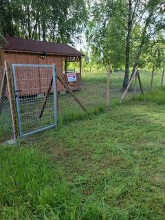 Siucice-Kolonia Młyn - - 3