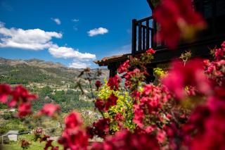Casa da Cerca - Parada de Bouro - 8