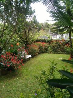 KRS Pines GuestHouse - Cameron Highlands - 5