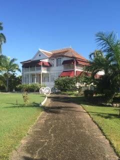 Cherry Tree Garden - 4