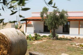 Tenuta Petra Chiara - B&B - Torre Lapillo - 4