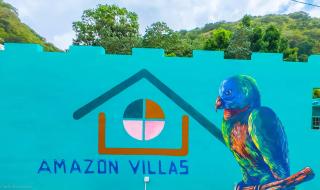 Amazon Villas - Soufriere - 2