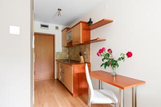 Apartamenty HoliApart Żeromskiego 2, przy plaży, przyjazny czworonogom - Krynica Morska - 3