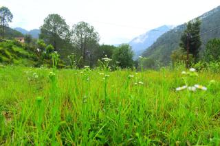 Welcome to Sri Ramayana! - 1