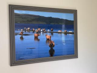 Williamsfield Cottage - Holywood - 5