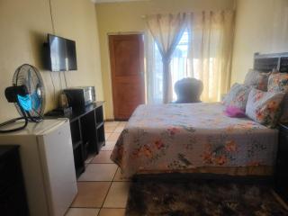 Emakhonkosi Guest House - Standerton - 9