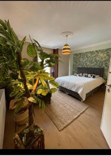 Balat old house apartments - Istanbul - 0