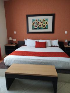 Hotel Real de TX - Tequisquiapan - 9