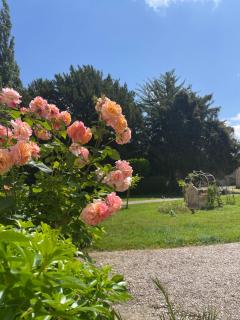 Château de Miguillaume - - 7