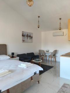 The River Studio Beli - Podgorica - 6